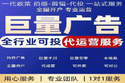 案例分析：高效信息流广告投放策略
